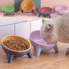 KutePawza 15° Tilted Cat Bowl – Food Grade Pet Feeding Bowl