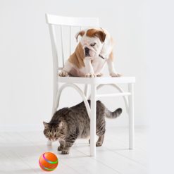 Cat Wicked Ball Toy - Image 4