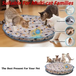 Fast Rolling in Pouch Hide and Seek Kitten Toy - Image 3