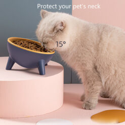 Cat Dog Bowl With Stand - Image 5